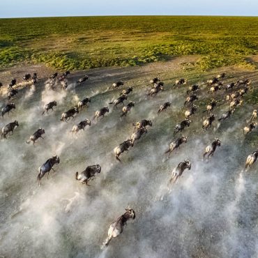 Maasai Mara