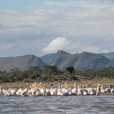 lake Elementaita